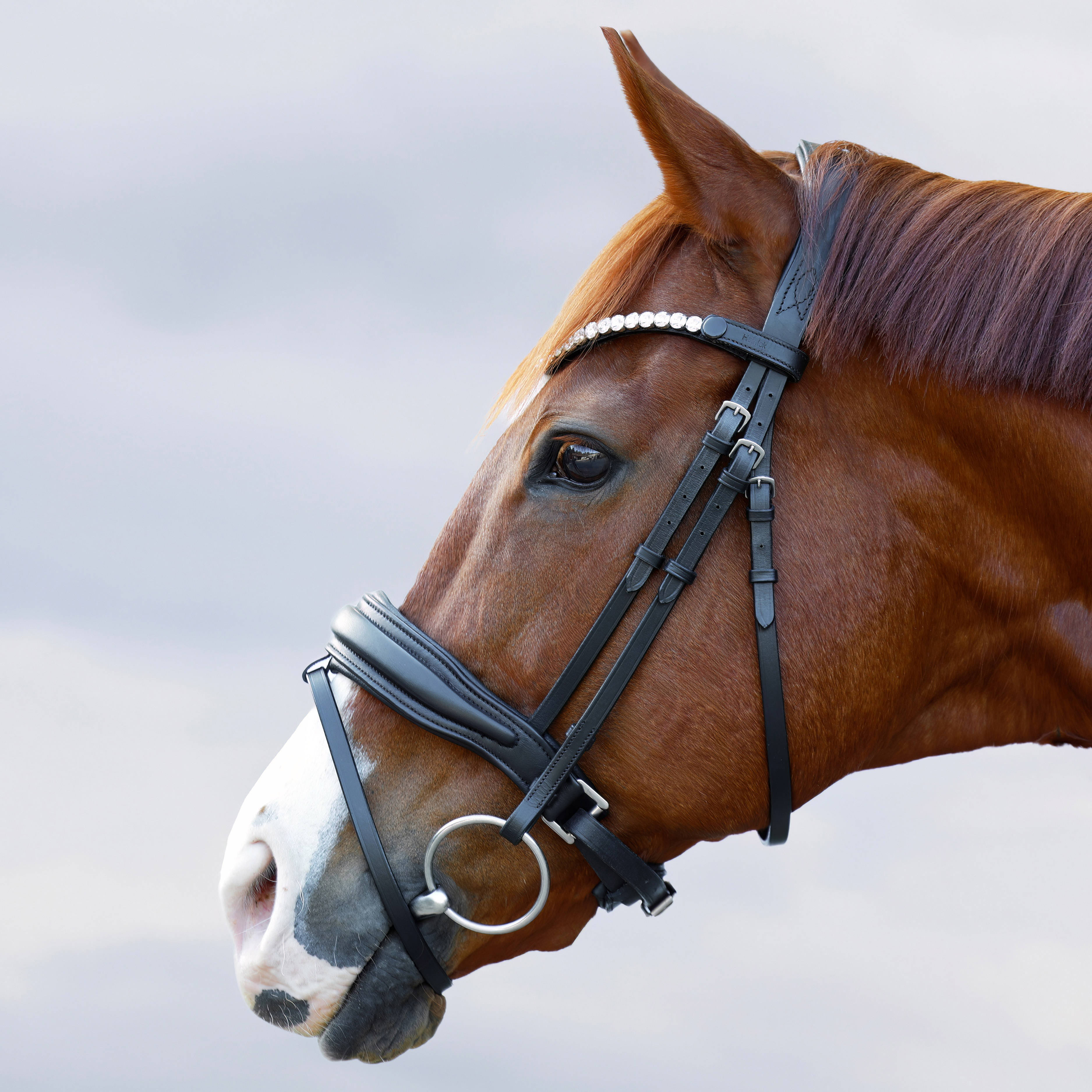 Trense-abnehmbarer-Sperrriemen-Custom-mit-Zaumhaken-schwarz