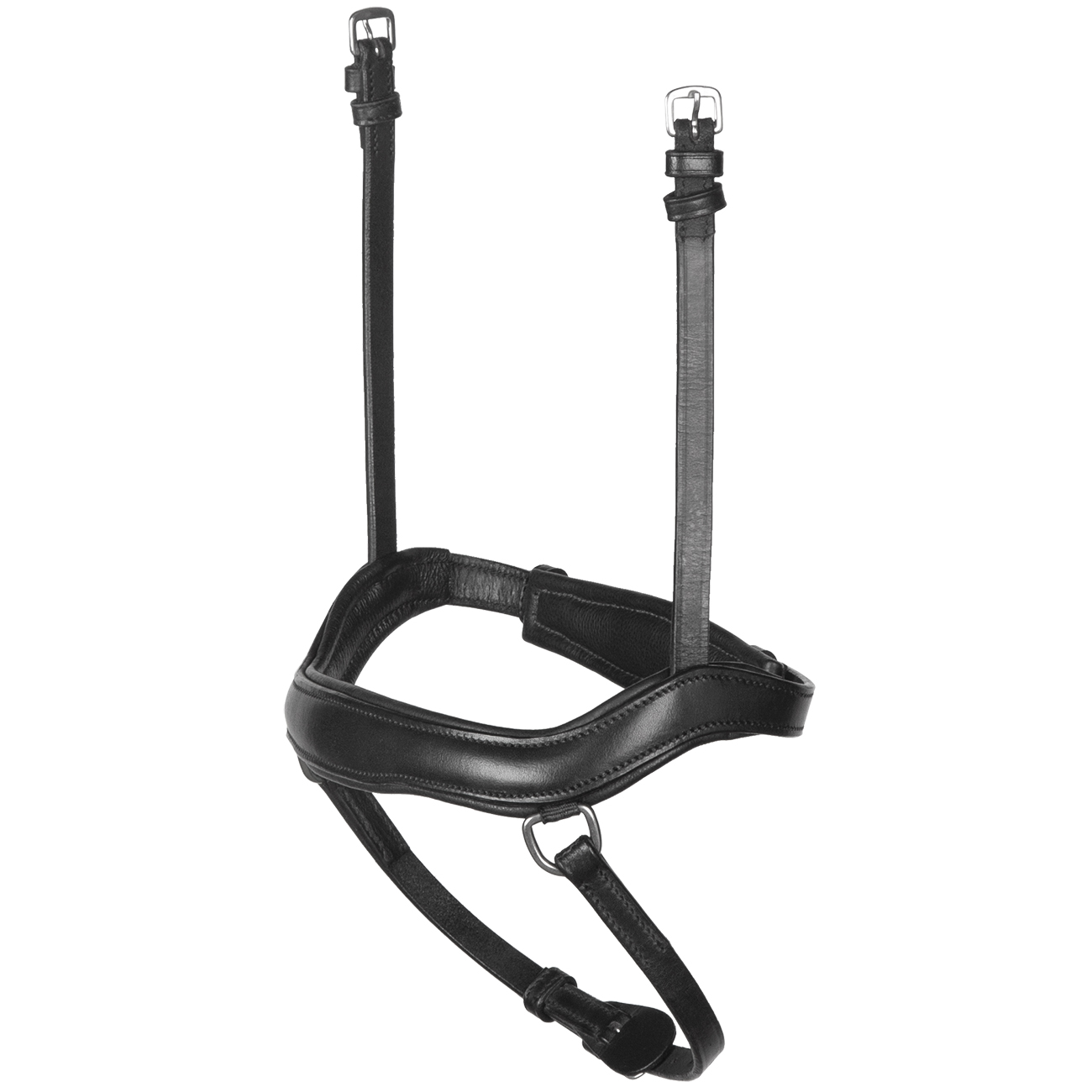 Reithalfter-Anatomic-anatomisch-mit-D-Ring-Anatomisch-Schwarz-1