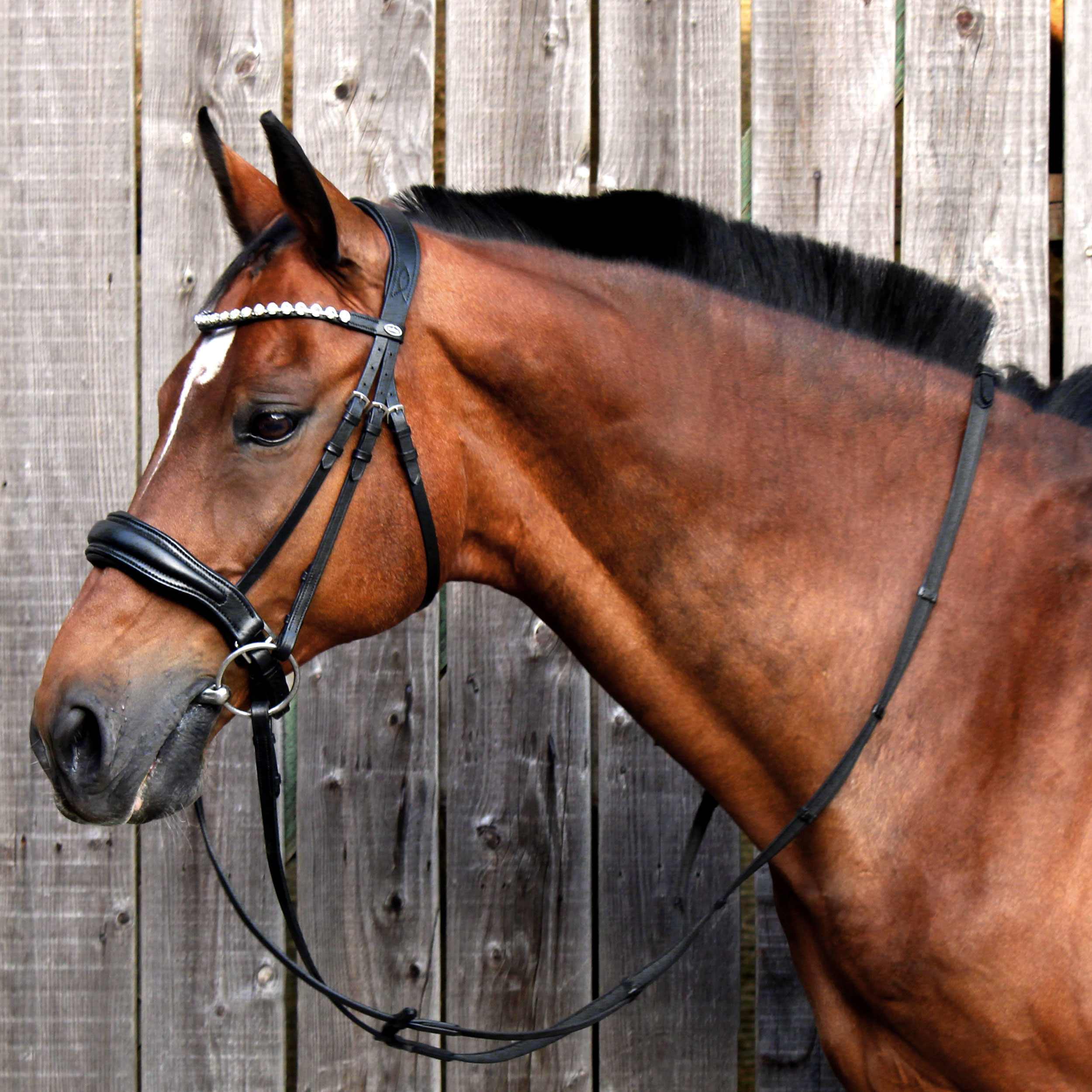 custom-trense-ohne-sperrriemen-1