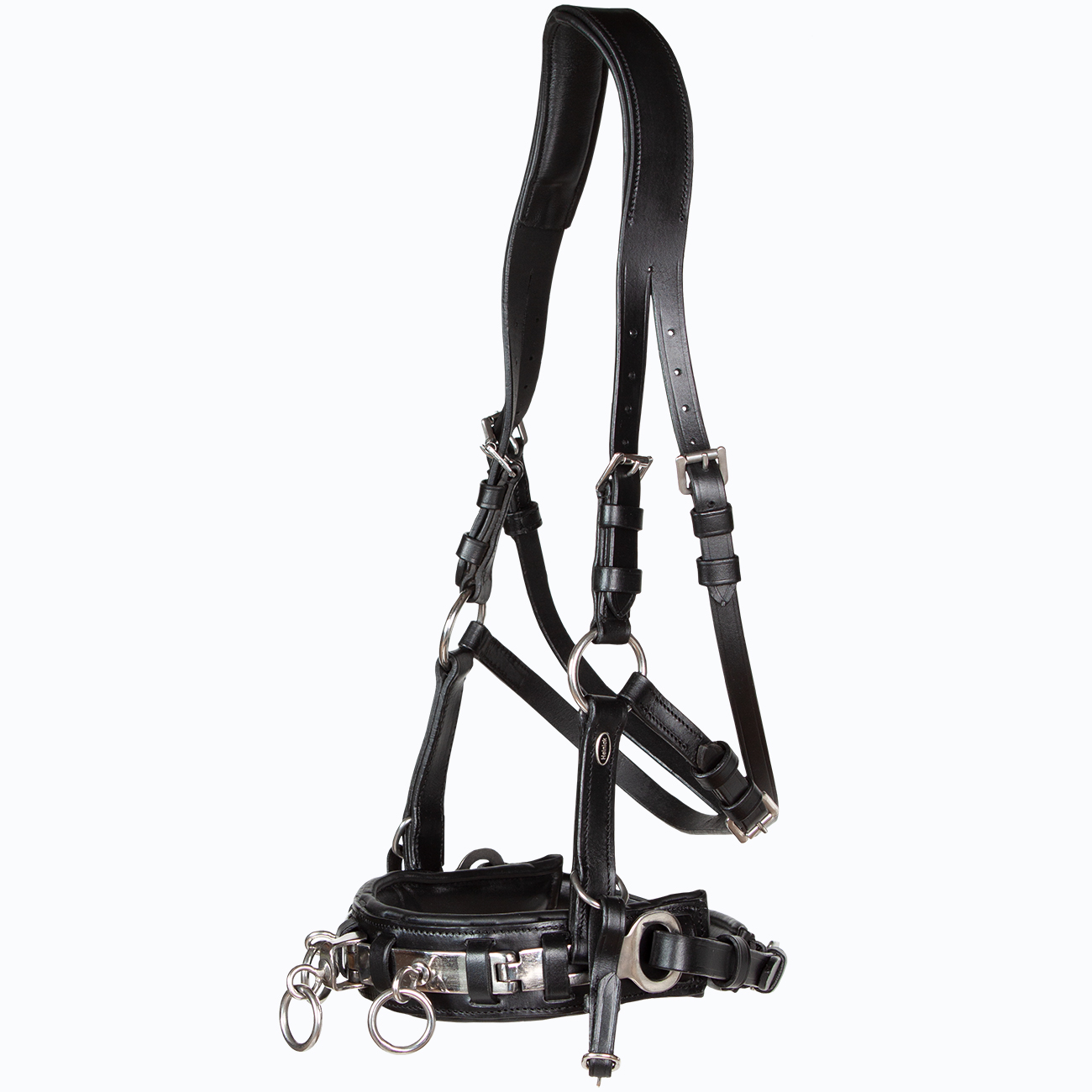 Kappzaum-Leder-anatomisch-mit-Naseneisen-Edelstahl-Wiener-WB-VB-Schwarz