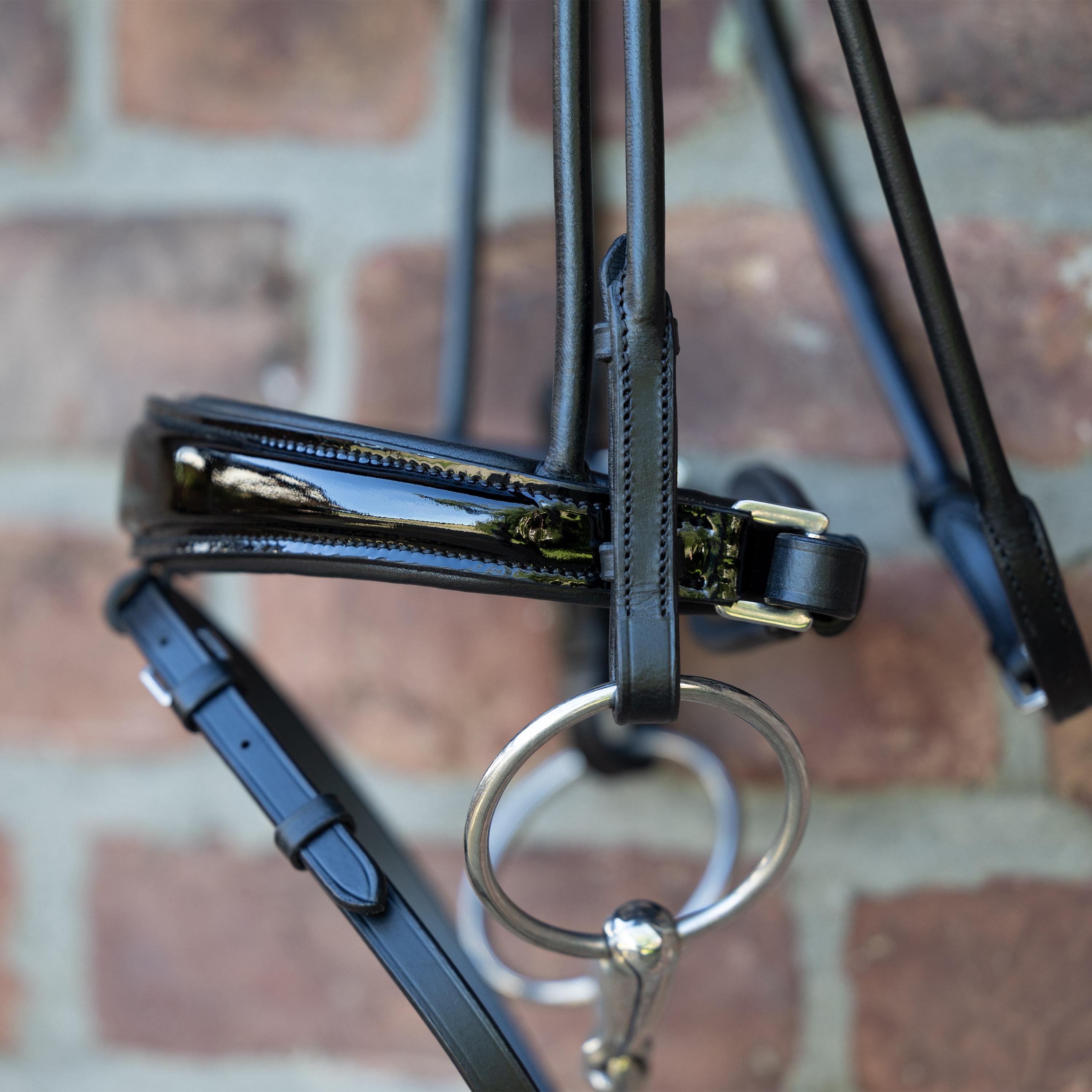 Reithalfter-Muenchen-Lack