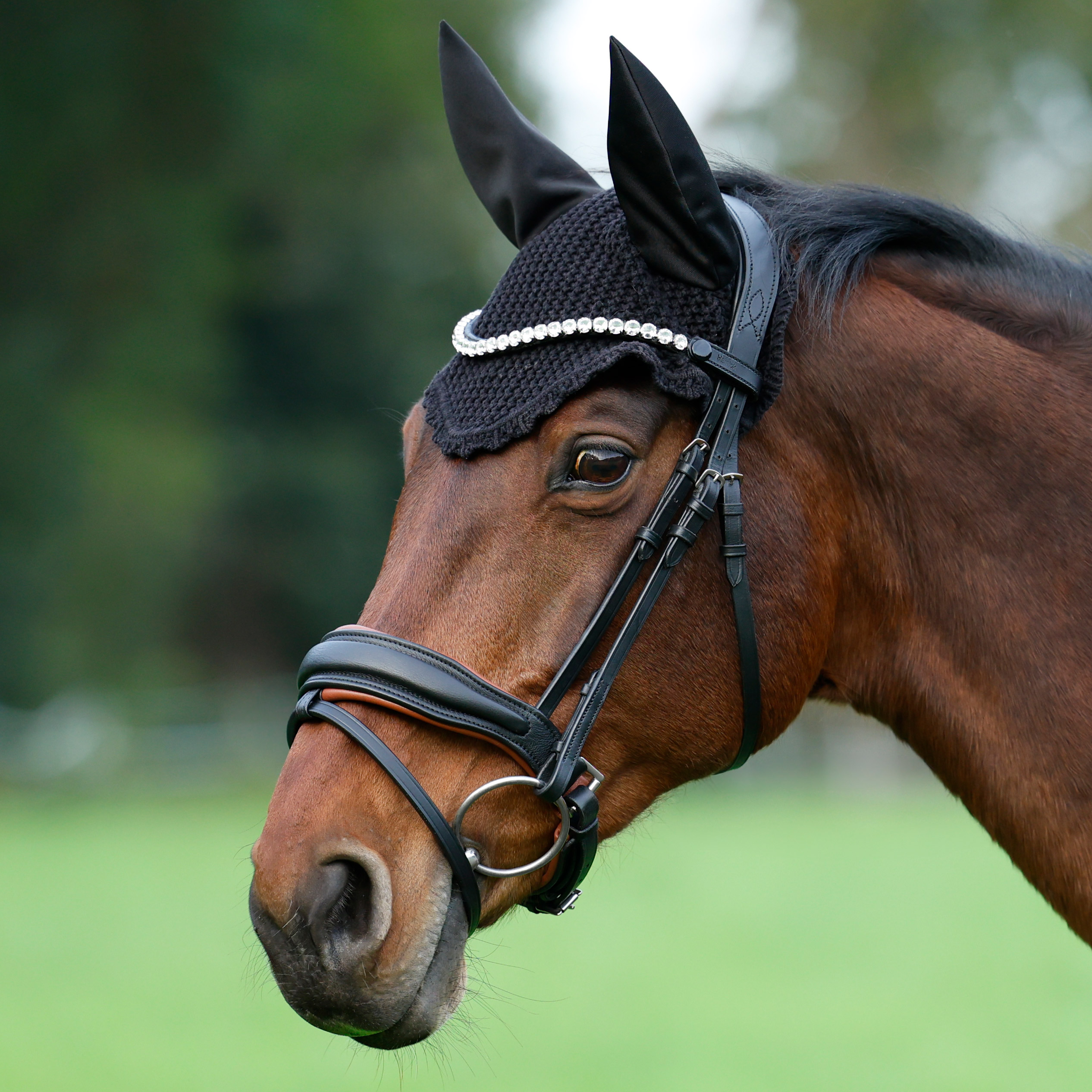 Trense-abnehmbarer-Sperrriemen-Custom-Zaumhaken-havanna