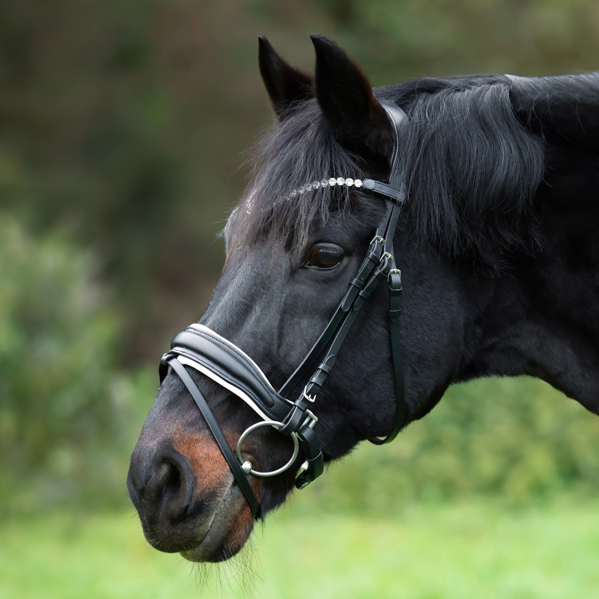Trense-Custom-Weiss-Schnallen-mit-Sperrriemen
