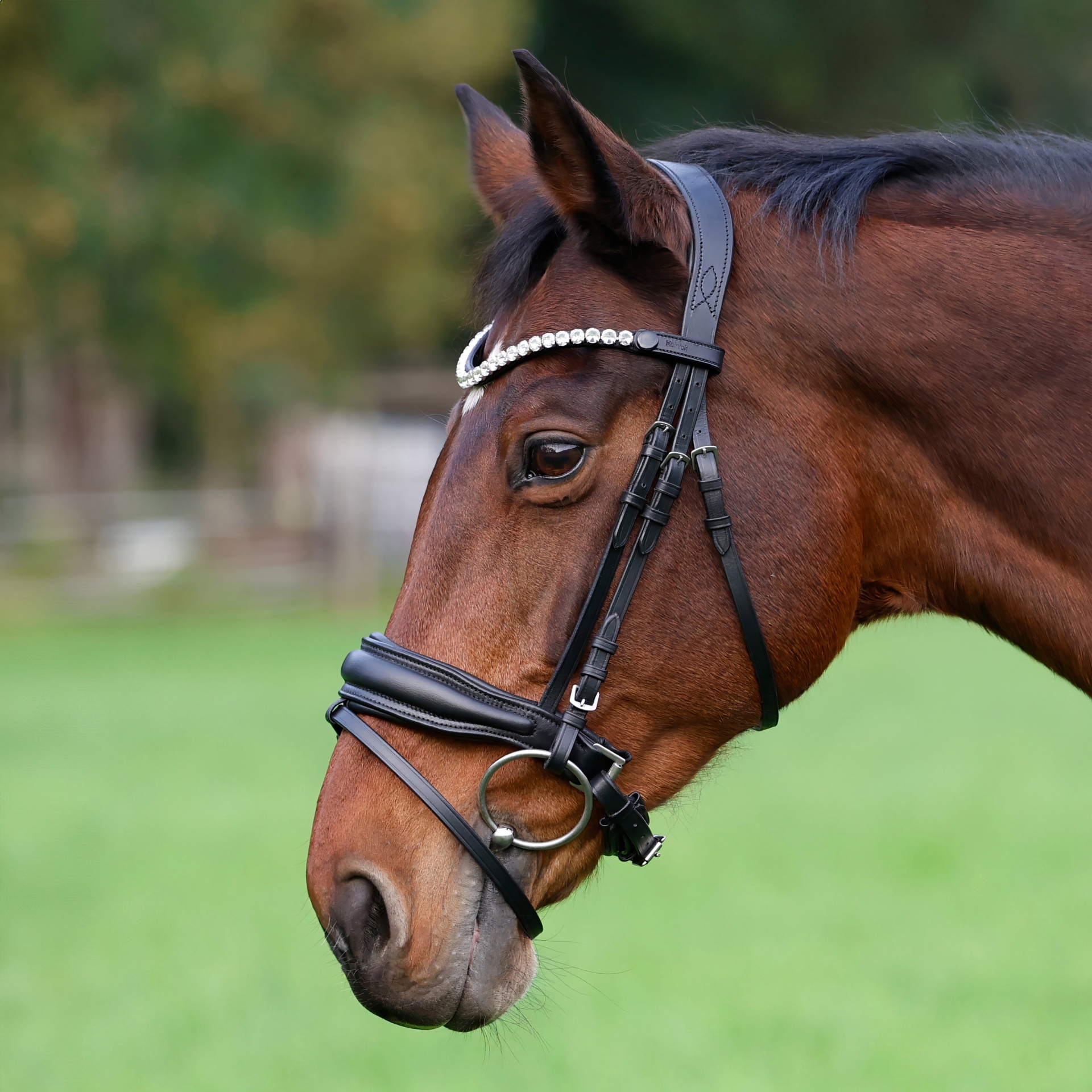 Custom-Schwarz-Schnallen-mit-Sperrriemen