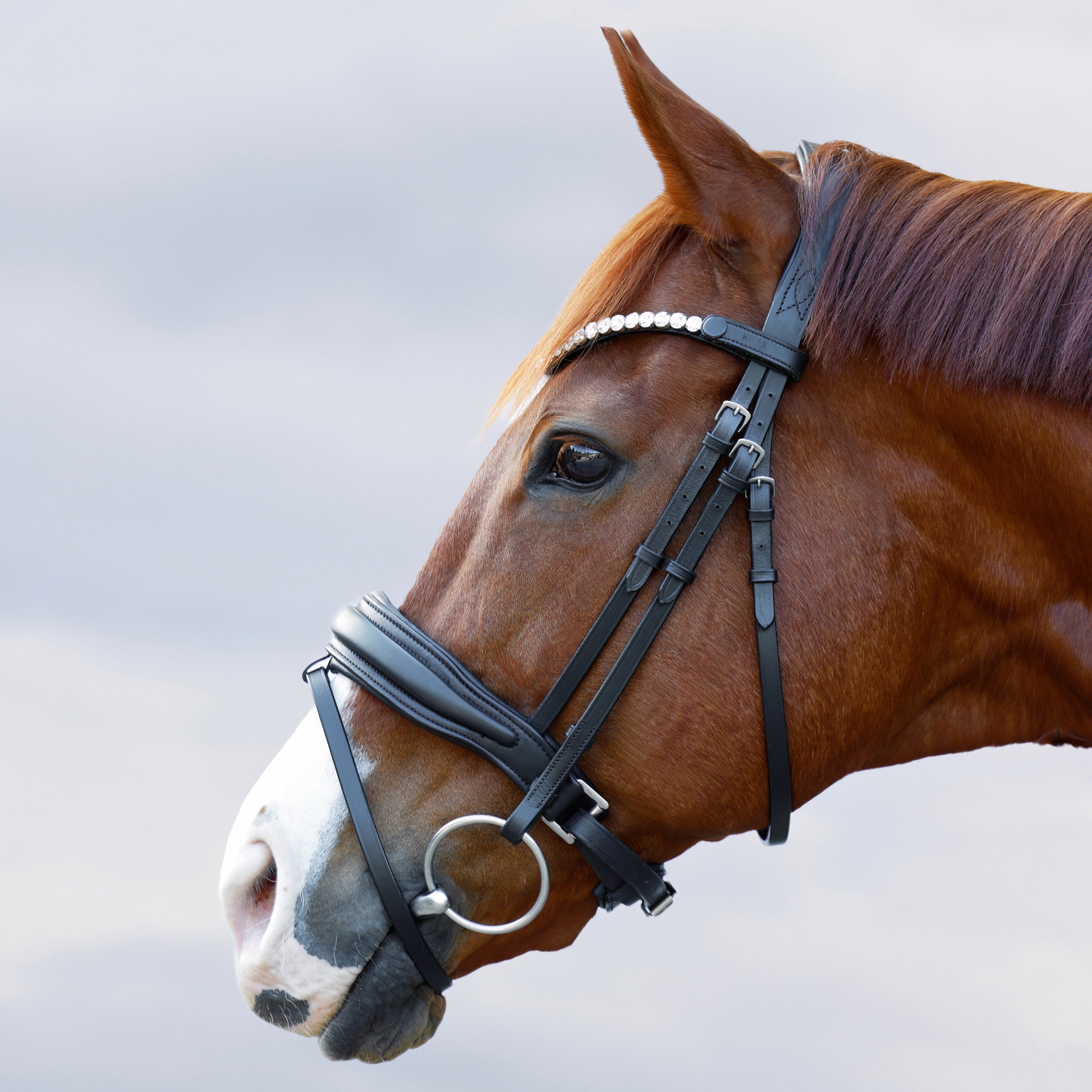 Trense-abnehmbarer-Sperrriemen-Custom-mit-Zaumhaken-schwarz